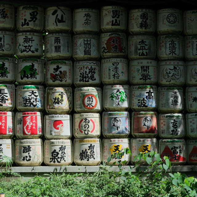 2024/09 Japan photo 1